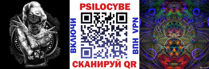 цена   Сибай  Псилоцибиновые грибы GOLDEN TEACHER 