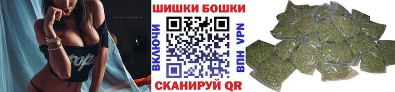 где можно купить   Сибай  Конопля гибрид 